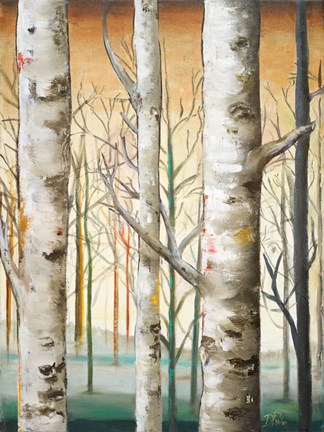 Framed Birch Forest I Print