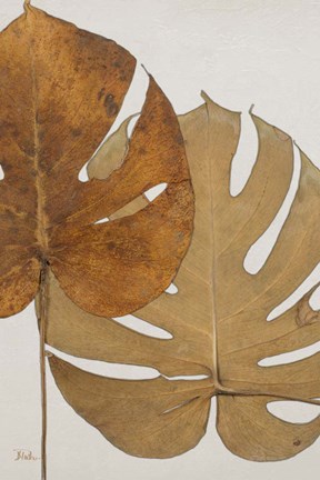 Framed Dry Balazo II Print