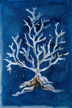 Framed White Corals II Print