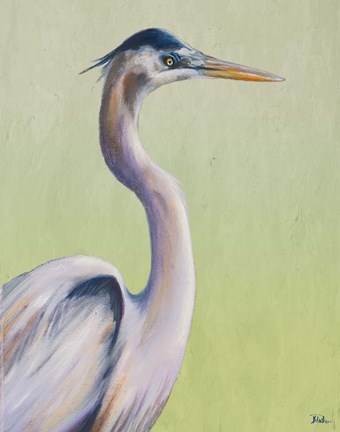 Framed Blue Heron on Green I Print