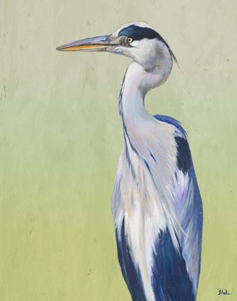 Framed Blue Heron on Green II Print