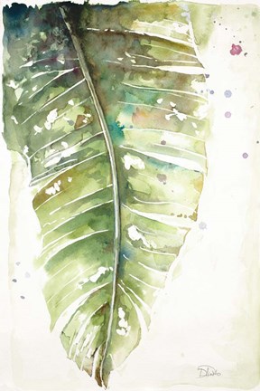 Framed Watercolor Plantain Leaves I Print