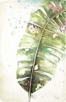 Framed Watercolor Plantain Leaves II Print