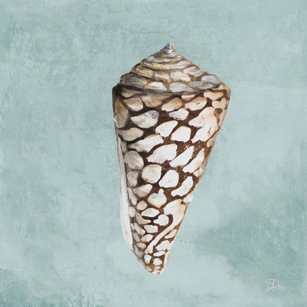 Framed Modern Shell on Teal II Print
