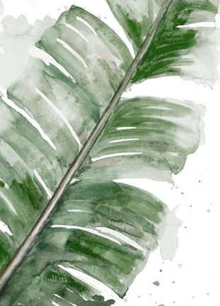 Framed Palma Fresca Close Up Print