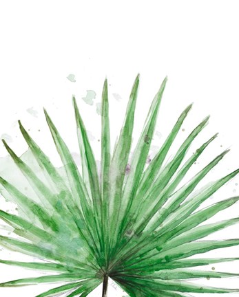 Framed Palm Frond II Print