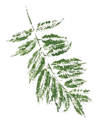 Framed Tropical Leaf Stamp Branch Print