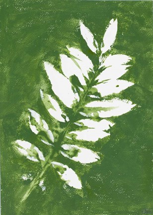 Framed Tropical Leaf Branch Stamp White Print