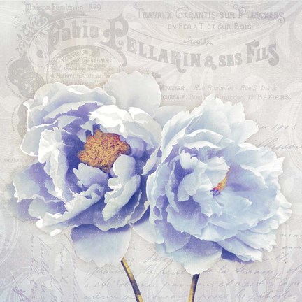 Framed Bonjour Belle Print