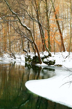 Framed Serene Creek Print