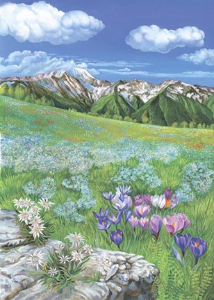 Framed Alpine meadows Print