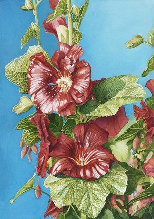 Framed Red Holly Print