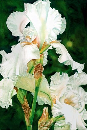 Framed Summer Dream Print