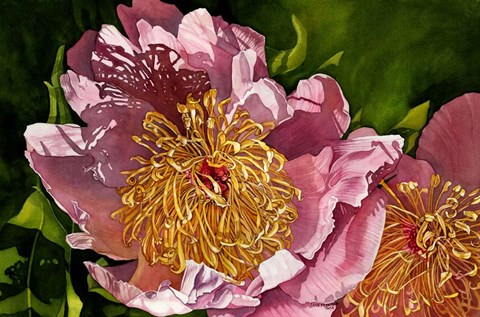 Framed Summer Shadows Print