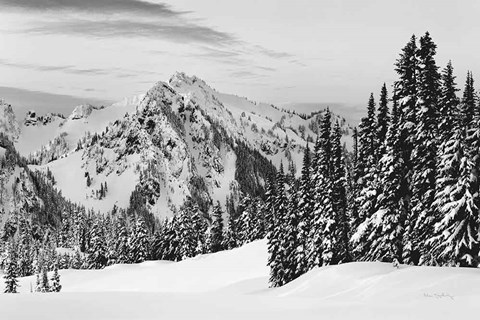 Framed Tatoosh Range BW Print
