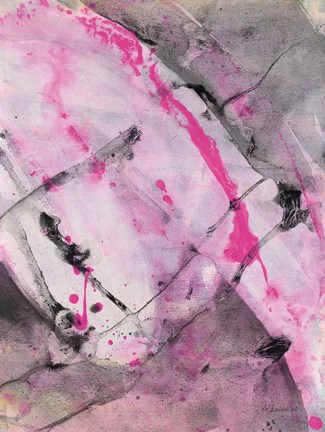 Framed Cracks in the Earth II Print