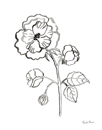 Framed Joyful Peonies II Print