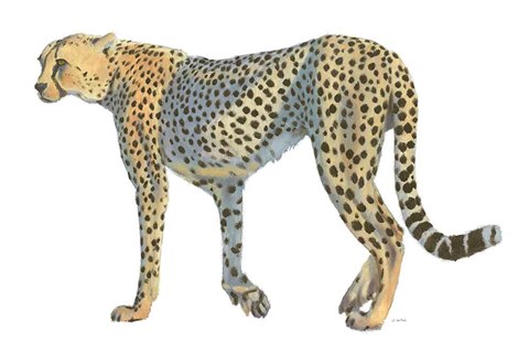 Framed Wild and Free VII Print