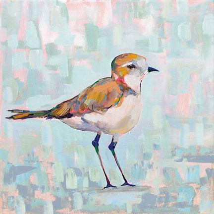 Framed Coastal Plover III Neutral Print