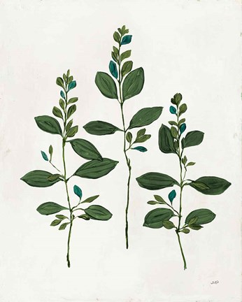 Framed Botanical Study IV Greenery Print