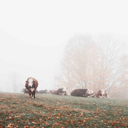 Framed Misty Pasture Print