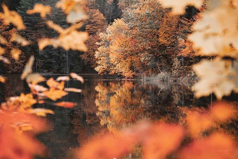 Framed Autumn Reflections Print