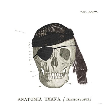 Framed Dandy Bones VI Pirate Print