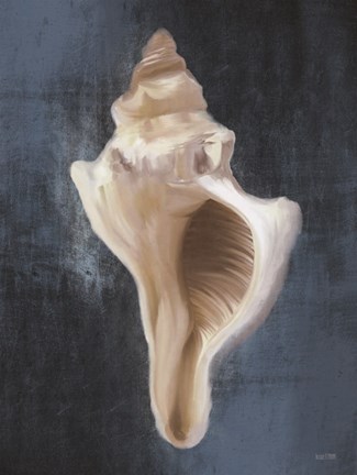 Framed Conch Shell Blues II Print