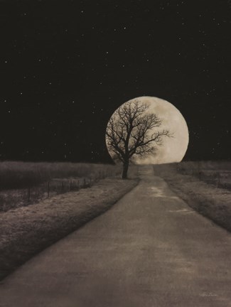 Framed Moonlit Country Road Print