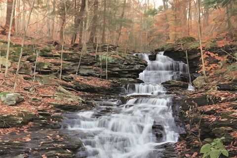 Framed Waterfall Steps at Pigeon Run Print