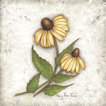 Framed Yellow Coneflowers Print