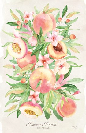 Framed Peach Bouquet Print