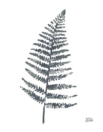 Framed Fern I Print