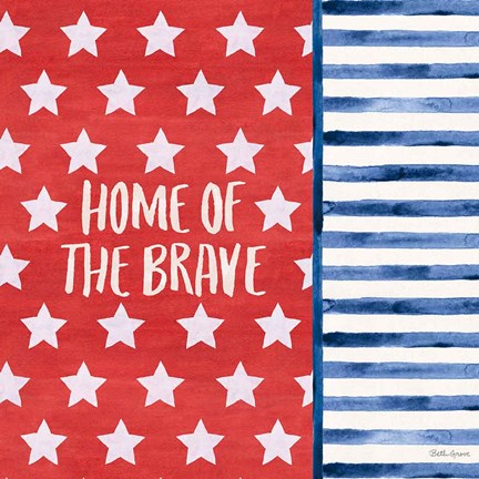 Framed Americana Style VII Print