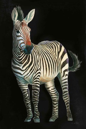 Framed Wild and Free VI Black Print