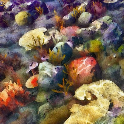 Framed Sea Life III Print