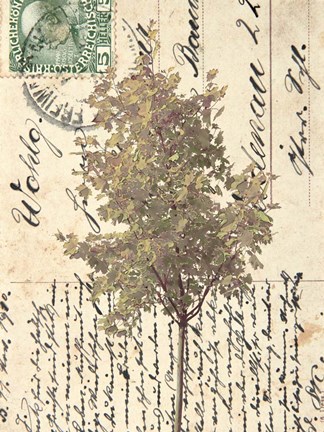 Framed In Good Spirits II Print