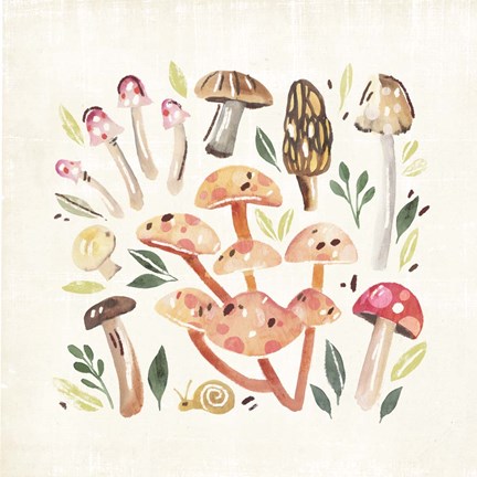 Framed Fungi Field Trip I Print