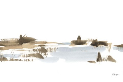 Framed Natural Shoreline II Print