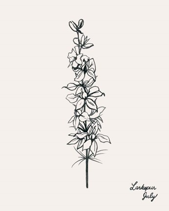 Framed Annual Flowers VII Print