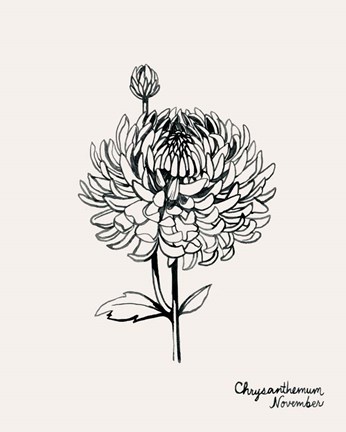 Framed Annual Flowers XI Print