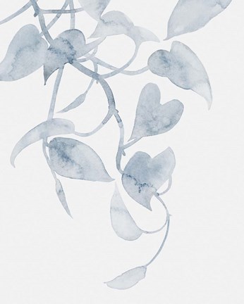 Framed Pothos Penumbra I Print