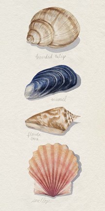 Framed Shore Things II Print