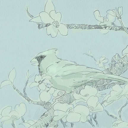 Framed Backyard Bird Sketch II Print