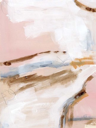 Framed Salt Flat Tracks II Print