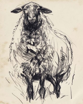 Framed Charcoal Sheep I Print