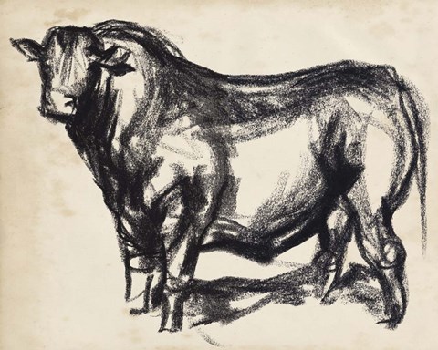 Framed Black Angus II Print