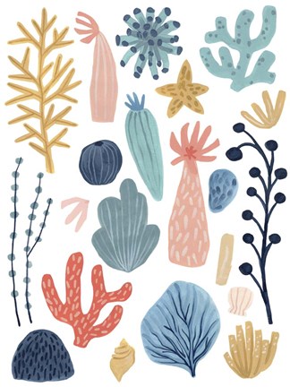 Framed Reef Assortment II Print