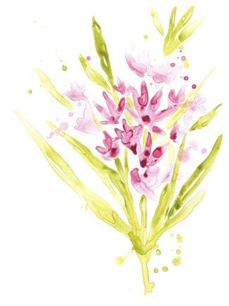 Framed Fuchsia Impulse II Print