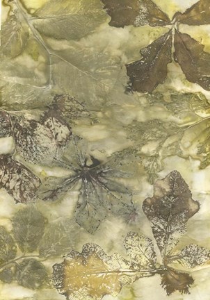 Framed Eco Print II Print